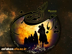 السلام علیک یا ابا عبدالله الحسین (ع)