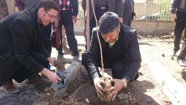 دکتر عروف زاد سرپرست مدیریت امور استان اصفهان  به همراه معاونین ، نماینده اساتید و دانشجویان   درهفته درختکاری