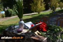 مسوول کمیته استقبال، ترابری و نظام داوطلبی جشنواره در گفت و گو با ستاد خبری:
•	رضایتمندی کامل شرکت کنندگان از مراسم استقبال و پذیرش افتخار ما در این کمیته است.
علیرضا حاجی صادقیان در گفت و گو با خبرنگار ستاد خبری نخستین جشنواره ورزشهای همگانی و بازی های