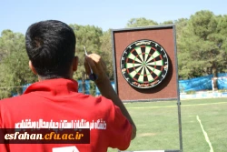 دلایل توجه به دارت در جشنواره ورزشهای همگانی و بازیهای بومی محلی