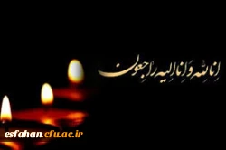 در پی حادثه تلخ و اندوهبار آتش سوزی و فروریختن ساختمانی در مرکز شهر، هیات دولت، شنبه را عزای عمومی اعلام کرد