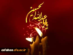 اَلسَّلامُ عَلَیْکَ یا اَباعَبْدِاللَّهِ وَ عَلَى الاَْرْواحِ الَّتى حَلَّتْ بِفِناَّئِکَ