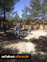 به مناسبت هفته طبیعت و روز بزرگداشت شهدا در دانشگاه فرهنگیان استان اصفهان برگزار شد.
طرح کاشت نهال به یاد شهدا