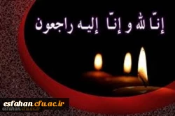 دکتر محمدی در چهارمین نشست عمومی با همکاران معاونت فرهنگی واجتماعی:
خاستگاه 3 ساحت از ساحت های شش گانه تربیتی سند تحول بنیادین در معاونت فرهنگی واجتماعی است