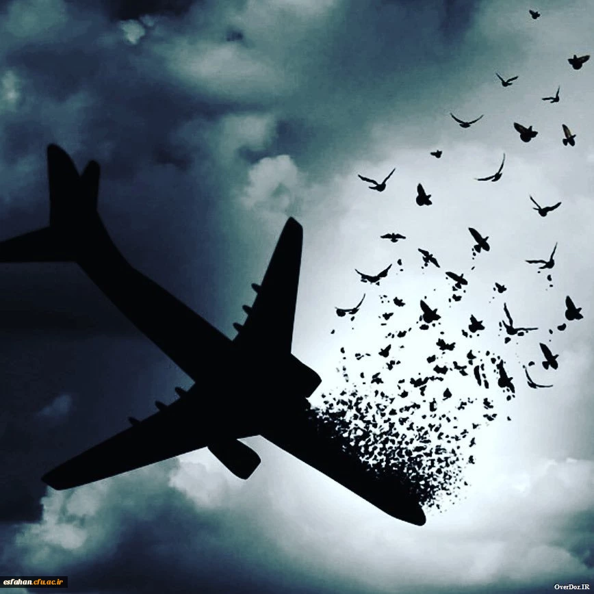 تسلیت ایران من