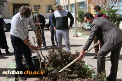 کاشت نهال در مدیریت امور پردیس های استان 2