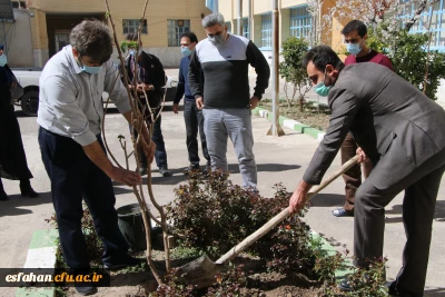 کاشت نهال در مدیریت امور پردیس های استان