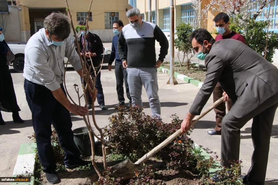 کاشت نهال در مدیریت امور پردیس های استان 2