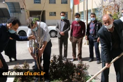 کاشت نهال در مدیریت امور پردیس های استان 3