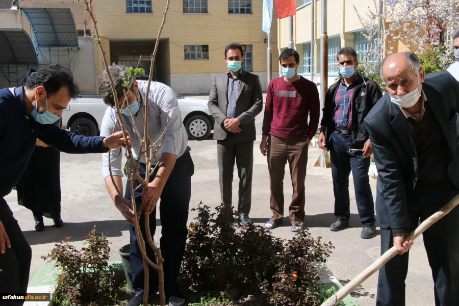کاشت نهال در مدیریت امور پردیس های استان 3