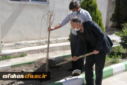 کاشت نهال در مدیریت امور پردیس های استان 4
