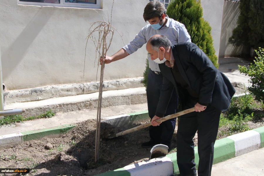 کاشت نهال در مدیریت امور پردیس های استان 3