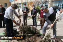 کاشت نهال در مدیریت امور پردیس های استان 4