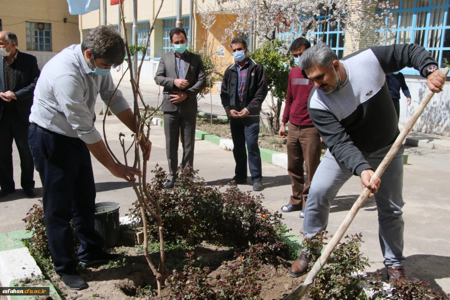 کاشت نهال در مدیریت امور پردیس های استان 4