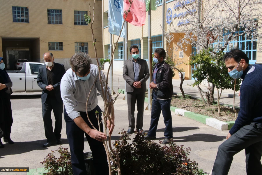 کاشت نهال در مدیریت امور پردیس های استان 5