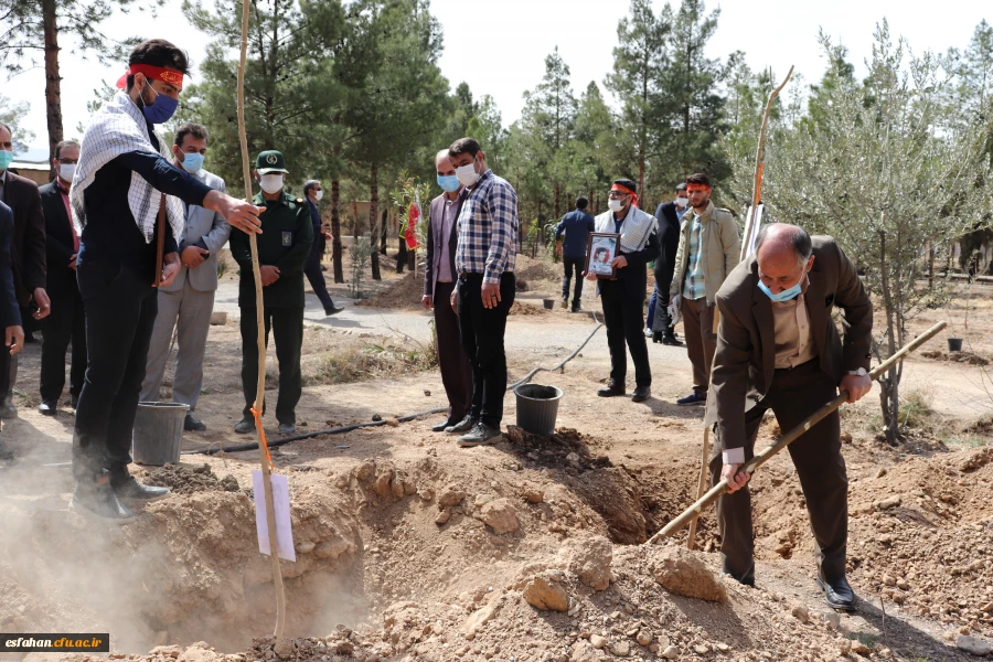 کاشت نهال درخت به یاد شهدای دانشگاه فرهنگیان استان اصفهان 14