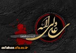 شهادت مولای متقیان، حضرت علی (ع) بر رهروان آن حضرت تسلیت باد 2