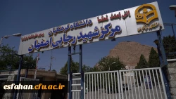 جشنواره قران وعترت بخش خوهران به روایت تصویر 12