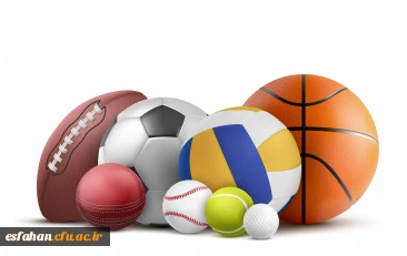 گروه آموزشی تربیت بدنی