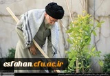بیانات مقام معظم رهبری پس از کاشت نهال در روز درختکاری


 6