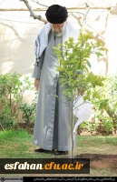 بیانات مقام معظم رهبری پس از کاشت نهال در روز درختکاری 9