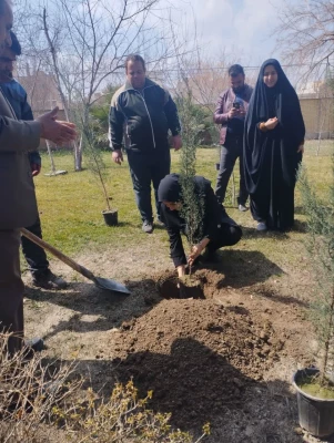 کاشت نهال و بزرگداشت هفته محیط زیست 10