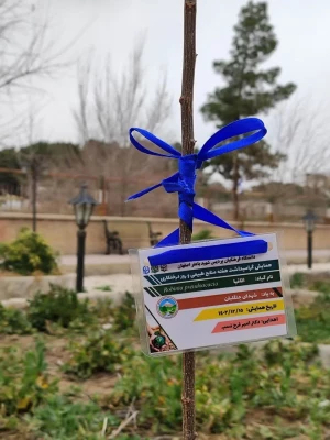 تقدیر از باغبان پردیس باهنر و نامگذاری نهال های کاشته شده به نام شهدا به مناسبت روز درختکاری و هفته محیط زیست 6