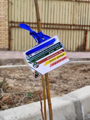 تقدیر از باغبان پردیس باهنر و نامگذاری نهال های کاشته شده به نام شهدا به مناسبت روز درختکاری و هفته محیط زیست 7