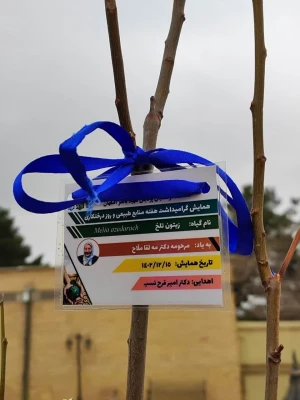 تقدیر از باغبان پردیس باهنر و نامگذاری نهال های کاشته شده به نام شهدا به مناسبت روز درختکاری و هفته محیط زیست 11