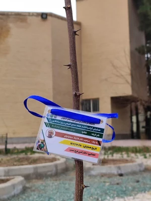 تقدیر از باغبان پردیس باهنر و نامگذاری نهال های کاشته شده به نام شهدا به مناسبت روز درختکاری و هفته محیط زیست 13