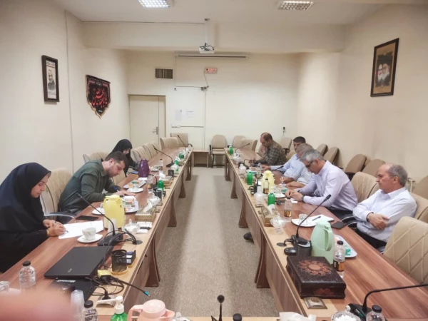 تشکیل جلسه وبینار ادبیات مقاومت  3