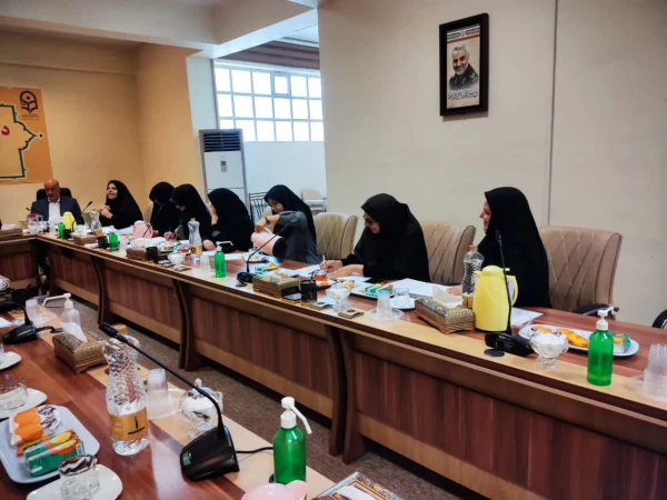 تشکیل شورای آموزشی استان   4