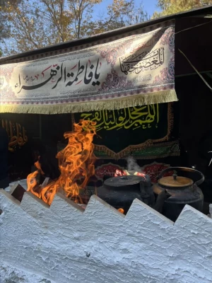 میزبانی از شهدای گمنام در ایام شهادت حضرت زهرا(س) 9