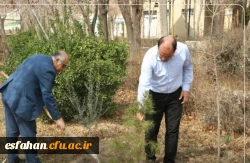 کاشت نهال در دانشگاه فرهنگیان پردیس شهید باهنر اصفهان به مناسبت روز درختکاری  4