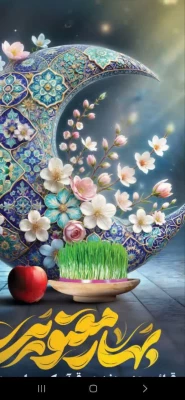 IMG_20250320_121347_414