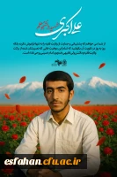 شهید ابو تراب افشاری 3