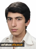 شهید دانشجو معلم رضا سلطان مهدیان 2