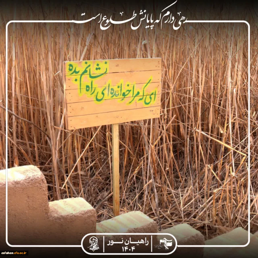 راهیان نور، سفری برای دیدن نیست؛ برای «فهمیدن» 12