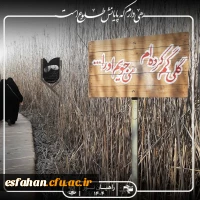 راهیان نور، سفری برای دیدن نیست؛ برای «فهمیدن» 20