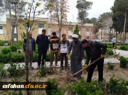 کاشت نهال در دانشکده  علوم انسانی شهید باهنر به یاد رهبر شهید و شهدای دانشجومعلم 4
